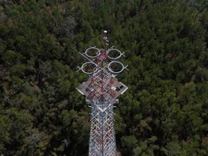 Jasper - AT&T Acquisition, Florida